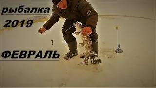 Рыбалка,Казахстан 2019, ловля щуки в феврале.