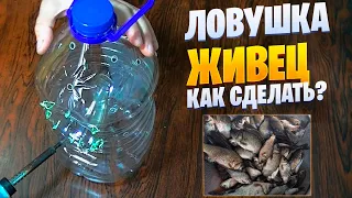 КАК ПОЙМАТЬ ЖИВЦА. ЛОВУШКА ДЛЯ ЖИВЦА ИЗ БУТЫЛКИ