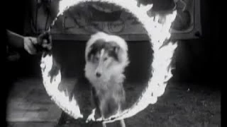 Lassie - Episode 12 - "The Carnival" (Originally broadcast 11/28/1954)