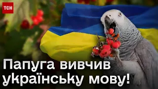 🦜 Папуга після окупації вивчив українську і знає, куди відправити Росію