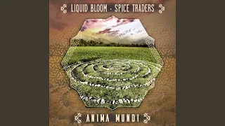 Anima Mundi (Original Mix)