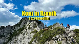 Konj in Rzenik - 11.05.2024