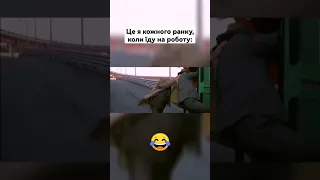 😂😂😂 #гумор #жарти #сміх #ржака #сміхота