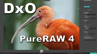 FIRST LOOK: PureRAW 4 – Is it BETTER Than PureRAW 3?