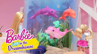 Mazlíci | Barbie LIVE! In The Dreamhouse | @Barbie