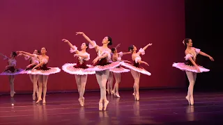 Finale - Arabesque Dance Arts Centre 3rd annual performance 2020