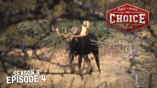 Newfoundland Moose Mania! - The Choice (Full Episode) // S9: Episode 4