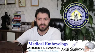 Medical Embryology | Axial skeleton development |   2019/2020