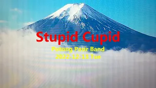 Stupid Cupid --------- Emily --------- Potong Pasir Band --------- C