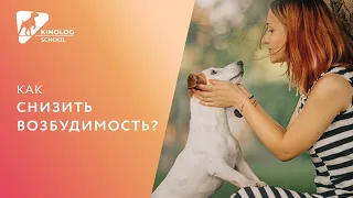 Как снизить возбудимость?