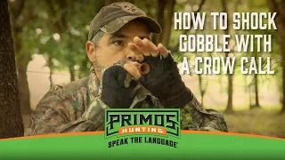 How to Make a Turkey Gobble with a Crow Call