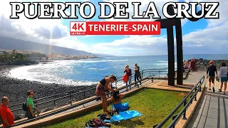 TENERIFE - PUERTO DE LA CRUZ | See the Actual Appearance in Different Places 😎 4K Walk ● March 2024