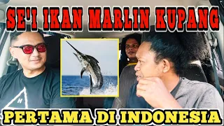 SEI IKAN MARLYN❗PERTAMA DI INDONESIA❗pasiar oto, gass jang rem