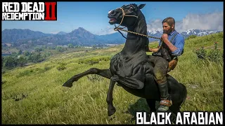 The BLACK ARABIAN - Red Dead Redemption 2 Story Mode