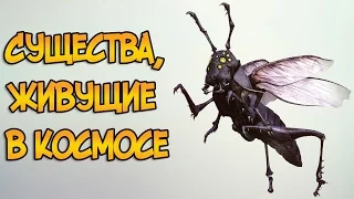 Существа, живущие в космосе (Звездные Войны)