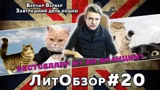 Кошка-шлюшка и кот-философ // ЛитПозор #8 ЗАВТРАШНИЙ ДЕНЬ КОШКИ (Бернар Вербер)