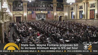 State senator proposes minimum wage increase