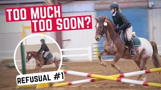 Horse’s FIRST Jumper Derby Show