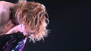 X Japan - WITHOUT YOU  rough cut - TOKYO DOME 2009 - Rock Collections RDT