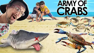 POOR Shark & the CRAB Invasion!  (FV Family gets Green Goblin @ the Beach)