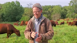 Greg Judy does not burn pastures. Bare soil does not capture soil energy, plant leafs do!