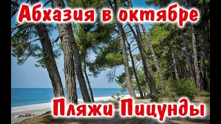 Абхазия в октябре. Где лучше отдохнуть в Пицунде? Пляжи и цены. Пос.Рыбзавод.Бесплатные фрукты.