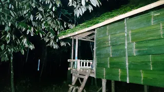 Camping in heavy rain // Continuous heavy rain while building the shelter