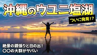 【沖縄旅行】穴場すぎる「沖縄のウユニ塩湖」で絶景の日の出鑑賞！そこは生物の楽園だった