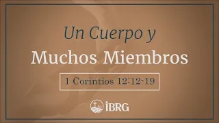 Un Cuerpo y Muchos Miembros | 1 Corintios 12:12-19