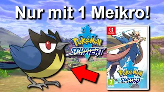 Kann man Pokemon Schwert mit NUR einem MEIKRO durchspielen? (+ Keine Items in Kämpfen)