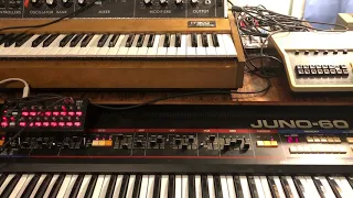 Roland Juno 60 and Moog Minimoog Model D Jam