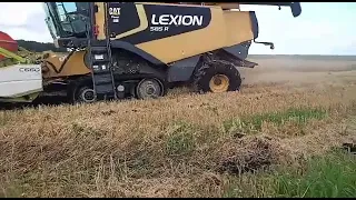 CAT Lexion 585 R