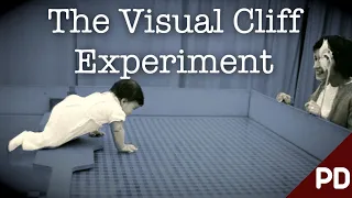 The Dark side of Science: The Visual Cliff Experiment 1960 | Plainly Difficult Short Documentary