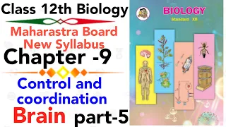 Part-5 Ch-9 Control and Coordination Biology class 12 maharashtra board new syllabus | Brain | CNS