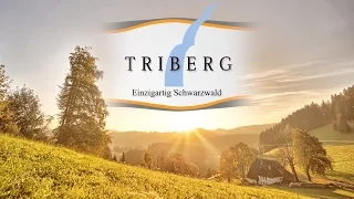 Triberg - Einzigartig Schwarzwald