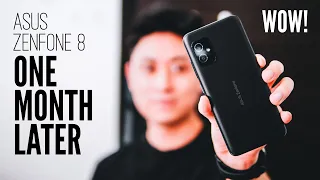 ASUS Zenfone 8 Long Term Review: SMALL BUT POWERFUL AF! All You Need To Know!