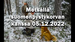 Metsällä suomenpystykorvan kanssa 05.12.2022