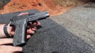 P226 Field Strip