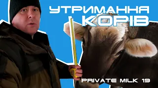 Утримання корів. Розміри стійла | Private Milk | Травецький