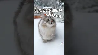 С первым днём зимы! Поздравьте юлизких и друзей❤❄