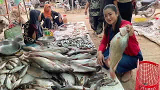 Pregnant mom buy river fish in village market for cooking - Yummy river fish cooking