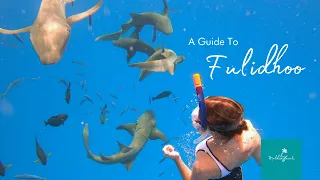 Island Guide: Fulidhoo, Vaavu Atoll