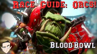 Warhammer Blood Bowl 2 Orc Guide: Game play, tactics, How to, Hints and Tips.