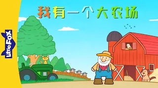 I Have a Big Farm (我有一个大农场) | Sing-Alongs | Chinese song | By Little Fox