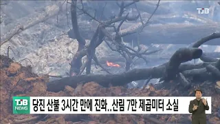 당진 산불 3시간 만에 진화..산림 7만 제곱미터 소실｜ TJB 대전·세종·충남뉴스