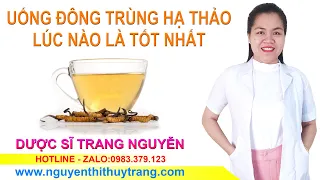 Uống đông trùng hạ thảo lúc nào tốt nhất