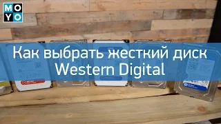 Как выбрать жесткий диск Western Digital