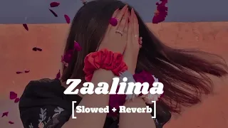 Zaalima | Raees | Shah Rukh Khan & Mahira Khan | Arijit Singh & Harshdeep Kaur | JAM8 | Pritam Lofi