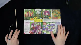 ASMR Catalogue Flip Through | Inaudible in 🇫🇷 & 🇬🇧, Stick Pointing, Dotting, Counting and more