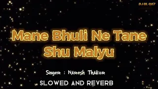 Mane Bhuli Ne Tane Shu Malyu · Naresh Thakor · Slowed And Reverb · New Gujarati Song 2022 : DJ BL